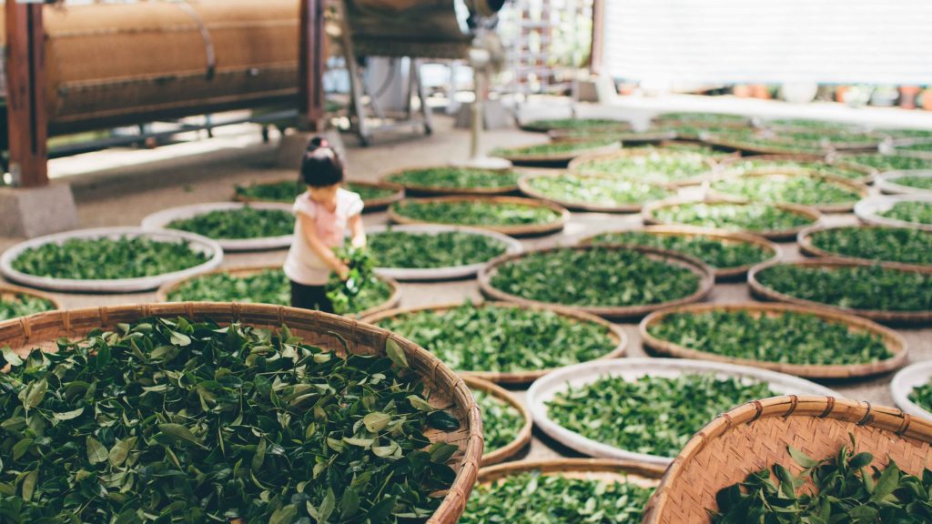 Biến đổi khí hậu đã ảnh hưởng đến thức uống của Việt Nam như thế nào?
