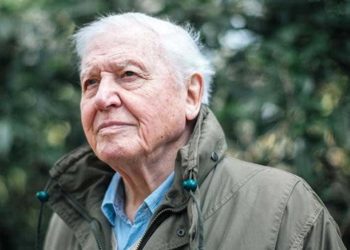 A Life on Our Planet: Lời khẩn cầu của thiên nhiên