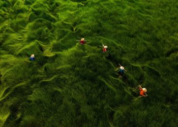 Aerial Photography Awards – Thế giới khác biệt nhìn từ trên cao