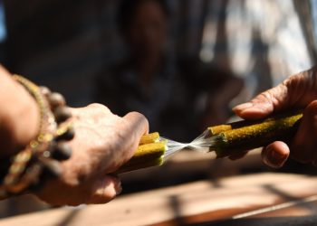 #LocalZine: Lụa sen – Suối tơ óng ả đắt đỏ bậc nhất thế giới