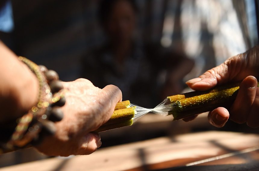 #LocalZine: Lụa sen - Suối tơ óng ả đắt đỏ bậc nhất thế giới 1 #LocalZine: Lụa sen – Suối tơ óng ả đắt đỏ bậc nhất thế giới