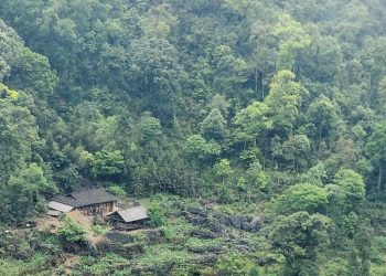 Làng Sảo Há ẩn mình trong mây, “bí hiểm” hệt như miêu tả trong phim Tết ở làng địa ngục