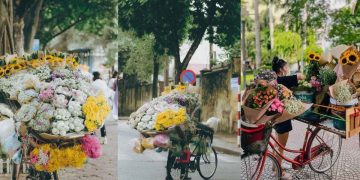 mua-thu-da-giup-nhieu-nguoi-ha-noi-cai-thien-thu-nhap-co-hang-hoa-co-them-tien-dong-hoc-phi-cho-con