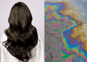 Tóc cũng có thể dùng để làm sạch dầu tràn ngoài đại dương