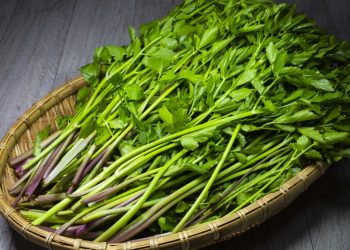 Tìm hiểu về Minari: loại rau đến từ vùng Đông Á và cách chế biến