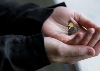 Cách để ta quên đi một người “người sống thì vẫn phải sống”