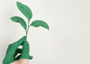 Liệu pháp nghệ thuật (Art Therapy) trị liệu bằng hội hoạ Y học