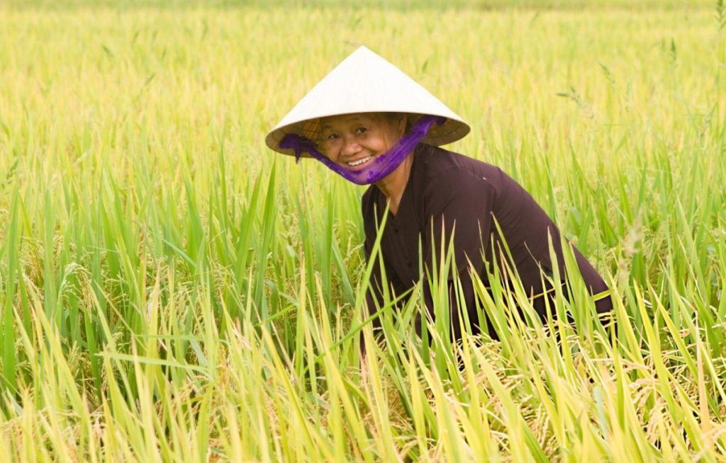 nguoi mien tay phuong ng anh bia