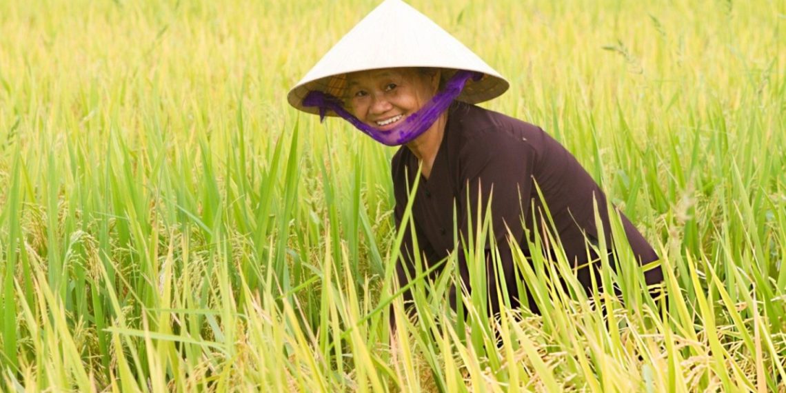 "Giải ngố" một vài phương ngữ phổ biến của người miền Tây 1 “Giải ngố” một vài phương ngữ phổ biến của người miền Tây