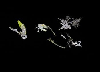 Triển lãm “iii.x_Unrealized Utopia” của Arlette Quỳnh-Anh Trần: Tương lai không tưởng được tái hiện qua máy móc